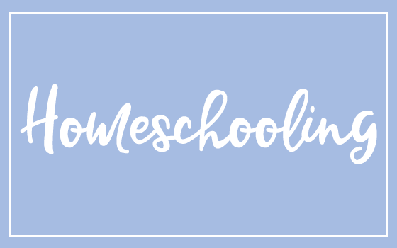 ideal homeschooling